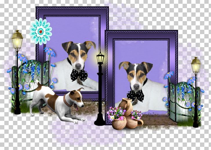 Dog Breed Puppy Jack Russell Terrier American Pit Bull Terrier PNG, Clipart, American Pit Bull Terrier, Animals, Beagle, Bull Terrier, Carnivoran Free PNG Download