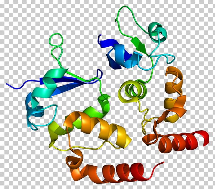 Human Genome Project KCND3 Voltage-gated Potassium Channel Cardiac Transient Outward Potassium Current Cardiac Action Potential PNG, Clipart, Area, Artwork, Cardiac Action Potential, Dna, Gene Free PNG Download
