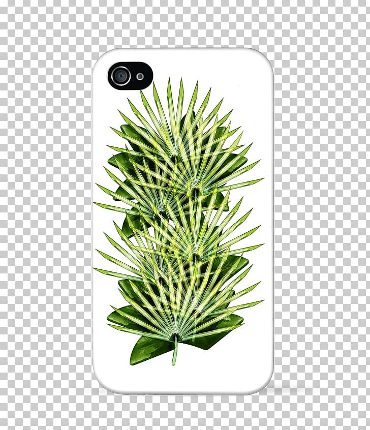 IPhone 6 IPhone 7 Poster Art Samsung Galaxy S5 PNG, Clipart, Art, Conifer, Grass, Iphone, Iphone 6 Free PNG Download