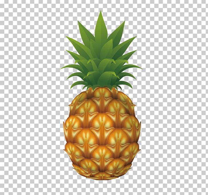 Pineapple Drawing PNG, Clipart, Apple Fruit, Bromeliaceae, Cdr, Encapsulated Postscript, Food Free PNG Download