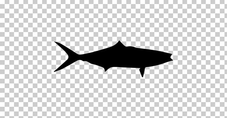 Shark Dolphin Wildlife Black M PNG, Clipart, Animals, Black, Black And White, Black M, Cartilaginous Fish Free PNG Download