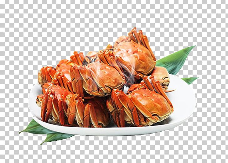 Crab Seafood Hot Pot Poster Fishing Industry PNG, Clipart, Animals, Animal Source Foods, Chinese Mitten Crab, Crab, Crab Meat Free PNG Download