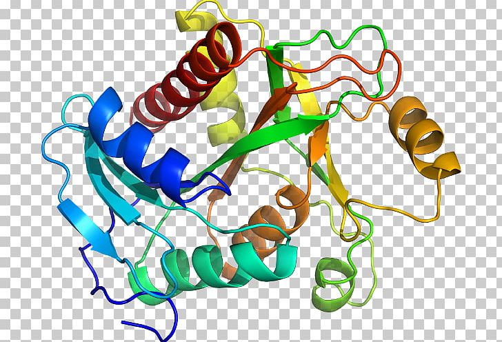 Lysosomal Acid Lipase Deficiency Lysosome Cholesteryl Ester Acid Lipase Disease PNG, Clipart, Acid, Area, Artwork, Cholesteryl Ester, Chromosome Free PNG Download