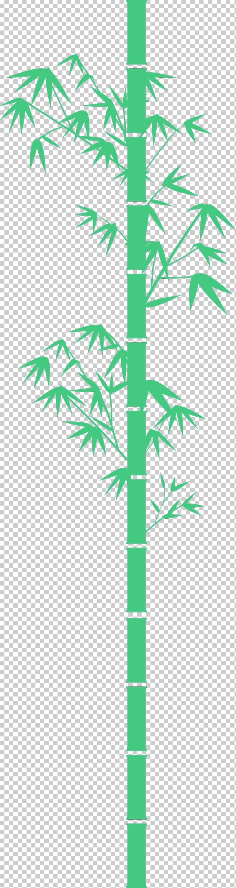 Palm Tree PNG, Clipart, Arecales, Bamboo, Branch, Hemp Family, Leaf Free PNG Download