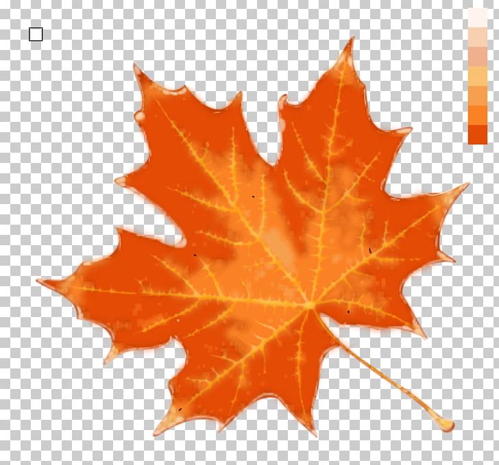 Autumn Leaf Color Stock Photography PNG, Clipart, Autumn, Autumn Leaf Color, Color, Desktop Wallpaper, Green Free PNG Download