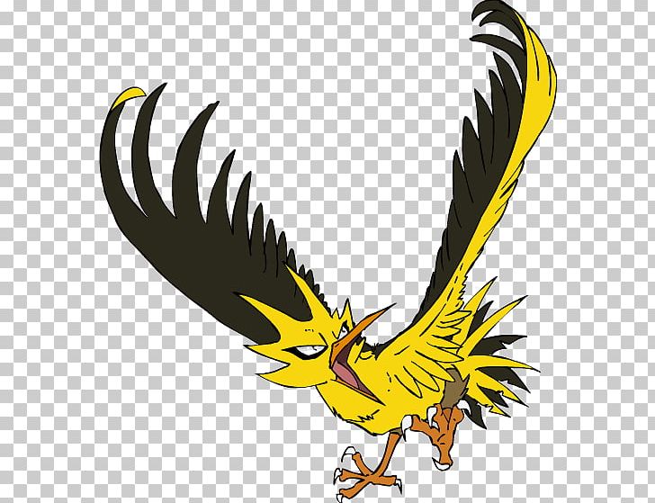 Bald Eagle Beak Fauna Character PNG, Clipart, Artwork, Bald Eagle, Beak, Bird, Bird Of Prey Free PNG Download