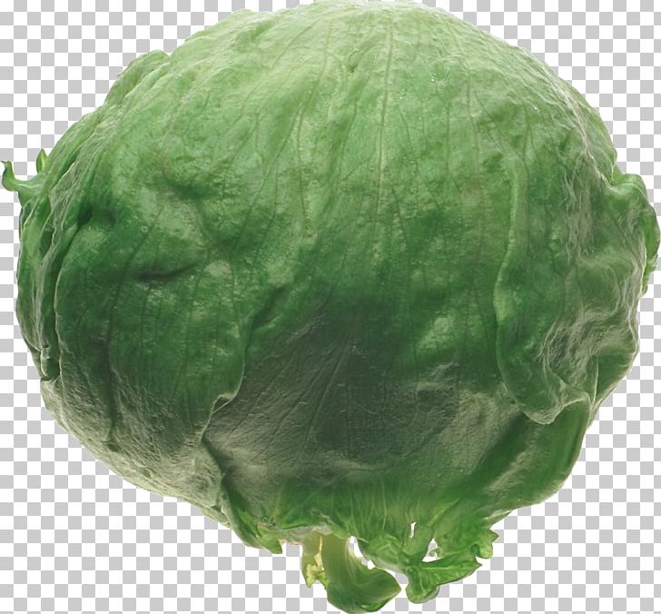 Cabbage Collard Greens Food PNG, Clipart, Brassica Oleracea, Cabbage, Collard Greens, Depositfiles, Food Free PNG Download