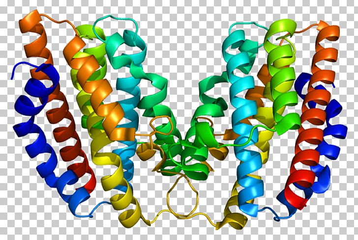 HMOX1 Heme Oxygenase Enzyme Gene PNG, Clipart, 1 N, Bead, Binding Site, Biology, Body Jewelry Free PNG Download