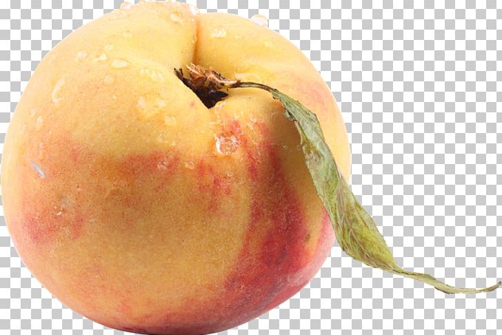 Peach Apricot PNG, Clipart, Apple, Apricot, Clip Art, Computer Icons, Durazno Free PNG Download