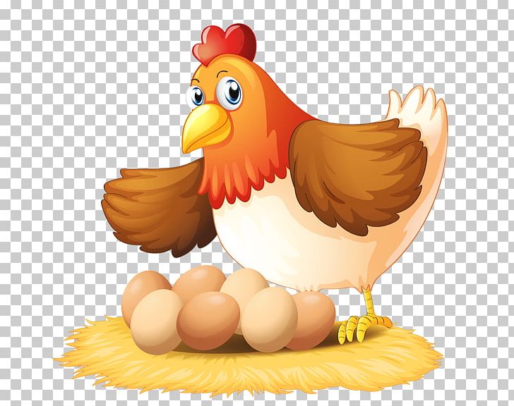 Chicken Egg Hen PNG, Clipart, Animals, Art Farmer, Beak, Bird, Chicken Free PNG Download