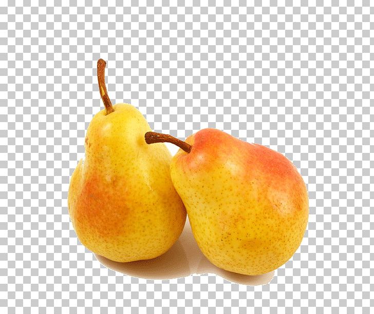 Conference Pear Fruit PNG, Clipart, Apple, Apple Fruit, Auglis, Food, Fruit Free PNG Download