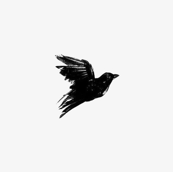 Crow PNG, Clipart, Animal, Birds, Crow, Crow Clipart, Flying Free PNG Download