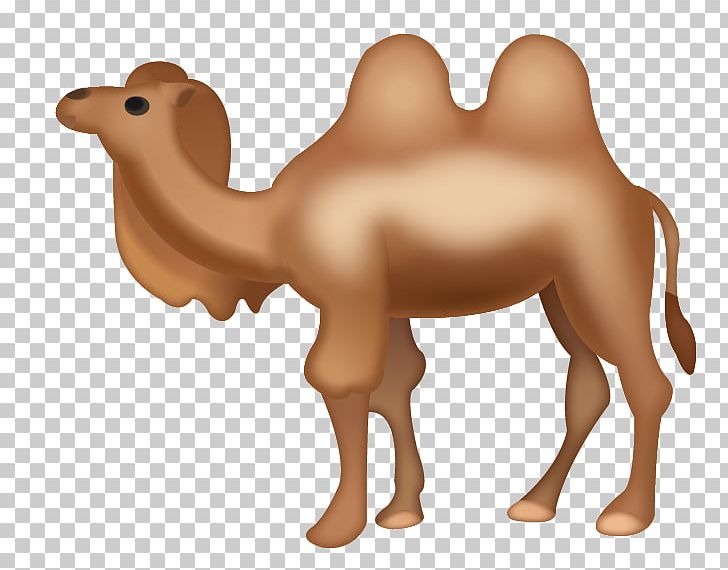 Dromedary Bactrian Camel Emoji IPhone PNG, Clipart, Animal, Animal Figure, Arabian Camel, Bactrian Camel, Camel Free PNG Download