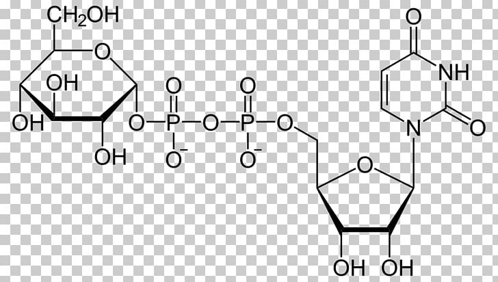 Uridine Diphosphate Glucose Uridine Monophosphate Uridine Triphosphate PNG, Clipart, Adenosine Diphosphate, Adenosine Triphosphate, Angle, Area, Auto Part Free PNG Download