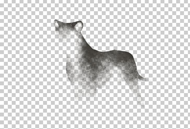 Whiskers Cat Dog Breed Lion PNG, Clipart, Animals, Black And White, Breed, Carnivoran, Cat Free PNG Download