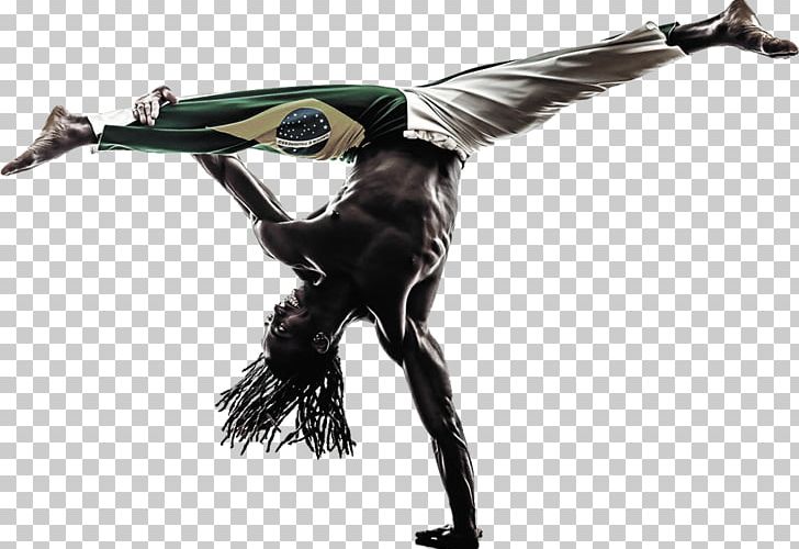 Capoeira Dance Brazil Stock Photography Martial Arts PNG, Clipart, Art, Batizado, Beak, Bird, Brazil Free PNG Download