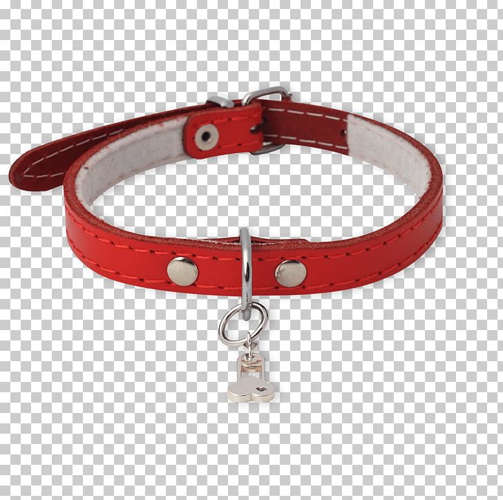 Bracelet Netherlands Jewellery Omega SA Necklace PNG, Clipart, Bracelet, Collar, Dog, Dog Collar, Jeweler Free PNG Download