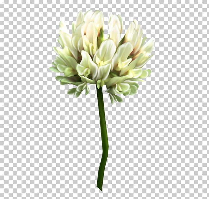 Cut Flowers Clover PNG, Clipart, Bud, Clover, Collage, Cut Flowers, Flower Free PNG Download