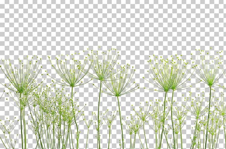 Pixabay Nature Plant Photography PNG, Clipart, Background, Background Material, Botany, Computer, Creative Ads Free PNG Download