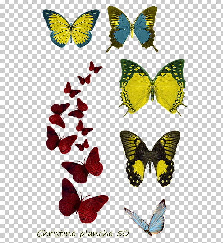 Portable Network Graphics Desktop Butterfly Painting PNG, Clipart, Art, Arthropod, Brush Footed Butterfly, Butterfly, Desktop Wallpaper Free PNG Download