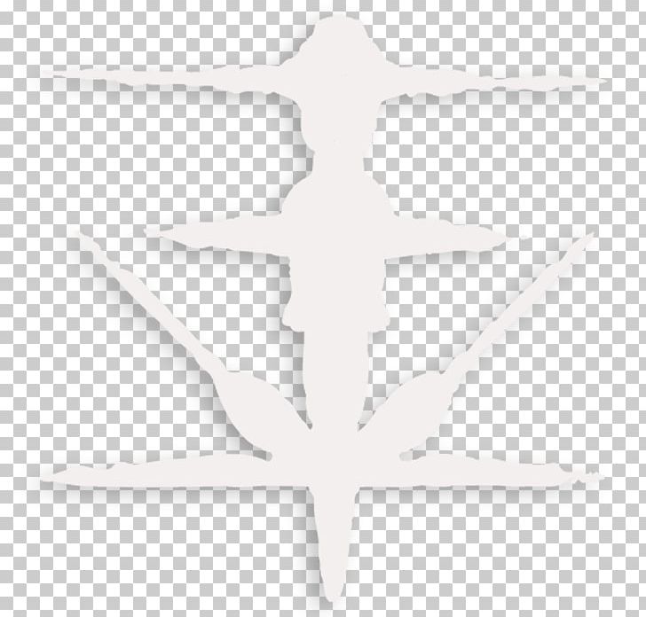 Product Design Angle PNG, Clipart, Angle, Art, Materialized, White, Wing Free PNG Download