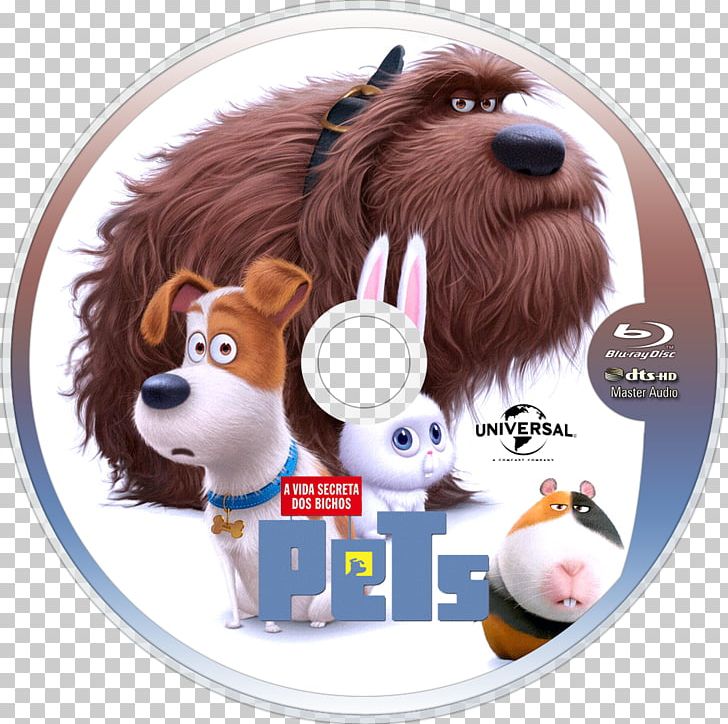 Universal S Illumination Snowball Animated Film PNG, Clipart, 2016, Animated Film, Carnivoran, Despicable Me, Dog Free PNG Download