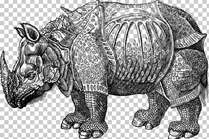 Dürer's Rhinoceros Armour Drawing PNG, Clipart,  Free PNG Download