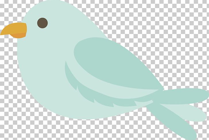 Beak Water Bird Marine Mammal PNG, Clipart, Animals, Beak, Bird, Feather, Fish Free PNG Download