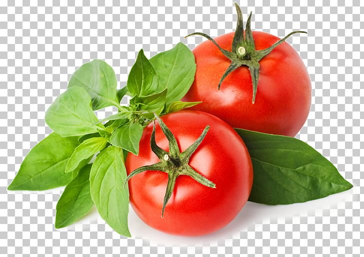 Tomato Soup Maltese Cuisine Tomato Juice Cream PNG, Clipart, Basil, Bell Peppers And Chili Peppers, Bush Tomato, Caprese Salad, Cooking Free PNG Download