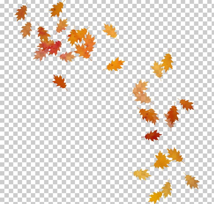 Autumn Leaves Leaf PNG, Clipart, Autumn, Autumn Leaves, Branch, Flower, Flowering Plant Free PNG Download