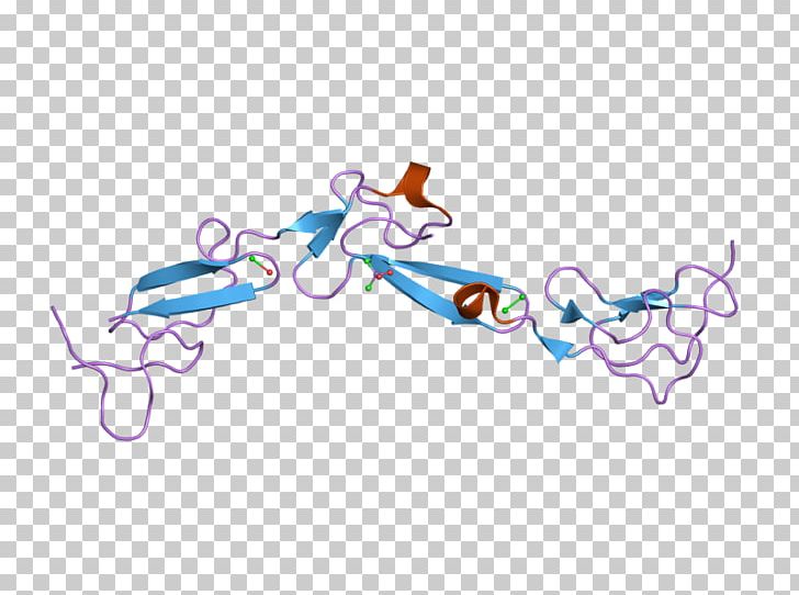 EMR2 CD97 Adhesion G Protein-coupled Receptor Cluster Of Differentiation PNG, Clipart, Angle, Art, Blue, Cartoon, Cluster Of Differentiation Free PNG Download