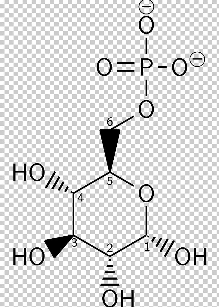 Glucose 6-phosphate Glycolysis L-Glucose Fischer Projection PNG, Clipart, Aldohexose, Angle, Area, Black, Black And White Free PNG Download