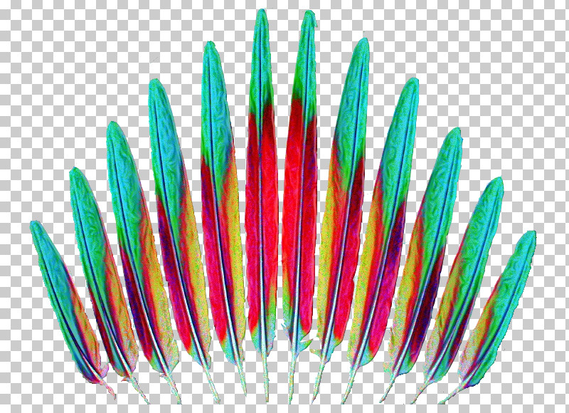 Feather PNG, Clipart, Beak, Birds, Budgerigar, Feather, Great Green Macaw Free PNG Download