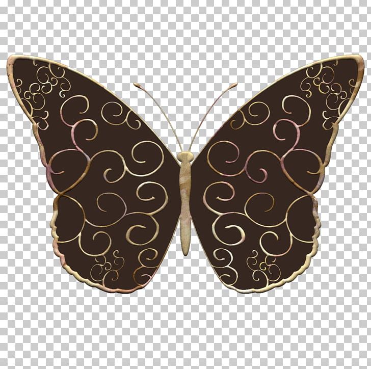 Butterfly Insect PNG, Clipart, Butterflies And Moths, Butterfly, Butterflyz, Celebrities, Chuck Norris Free PNG Download