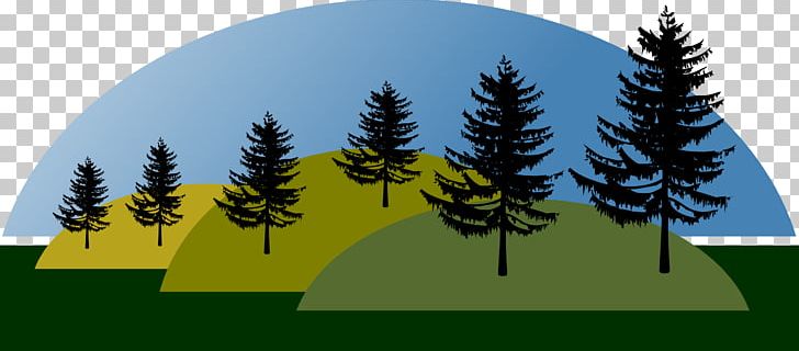Landscape PNG, Clipart, Animation, Art, Biome, Conifer, Drawing Free PNG Download