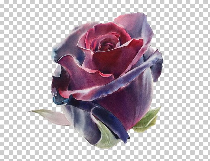 Watercolor: Flowers Watercolor Painting Drawing Artist PNG, Clipart, Art, Blue, Blue Purple, Creat, Floribunda Free PNG Download
