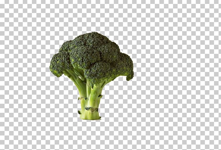 Chinese Broccoli Cauliflower Vegetable Potato PNG, Clipart, Brassica Oleracea, Broccoli, Cabbage Family, Cauliflower, Chinese Broccoli Free PNG Download
