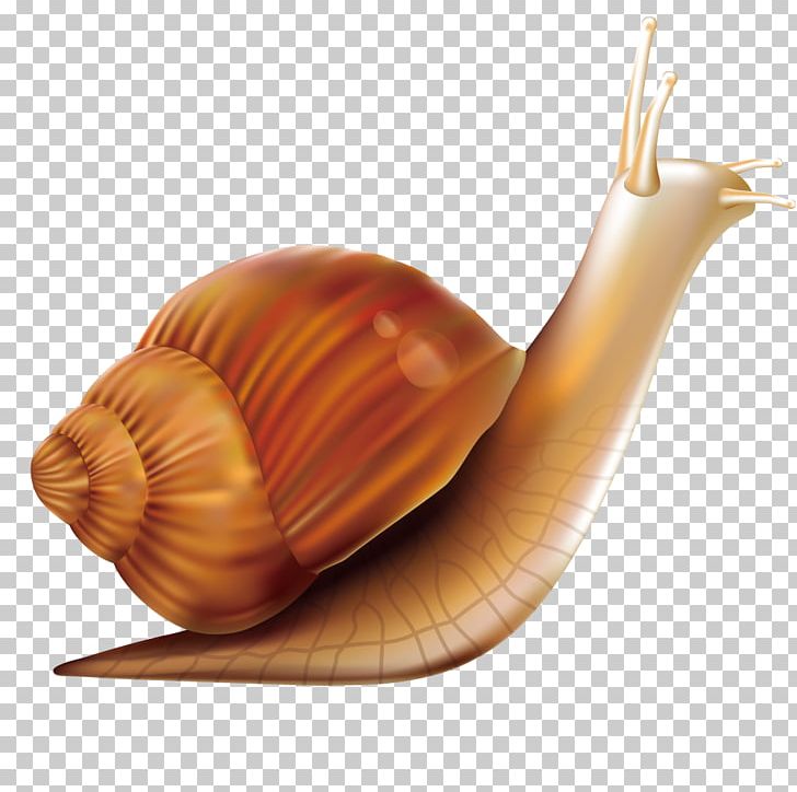 Computer Mouse Snail PNG, Clipart, Adobe Illustrator, Animal, Animals, Book Worm, Caracol Free PNG Download