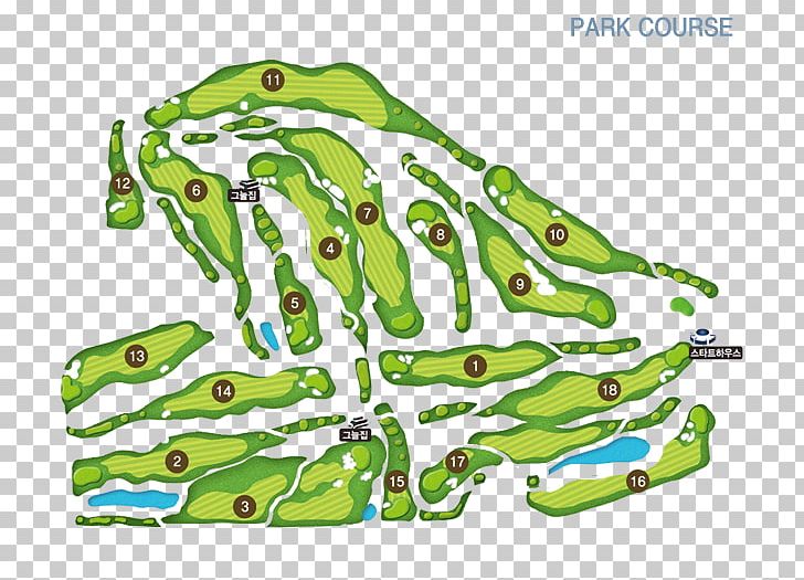 Incheon Seo-gu Office Frog Golf Course Seo-gu Culture & Arts Center PNG, Clipart, Amphibian, Area, Dream Land Spices Park, Frog, Golf Free PNG Download