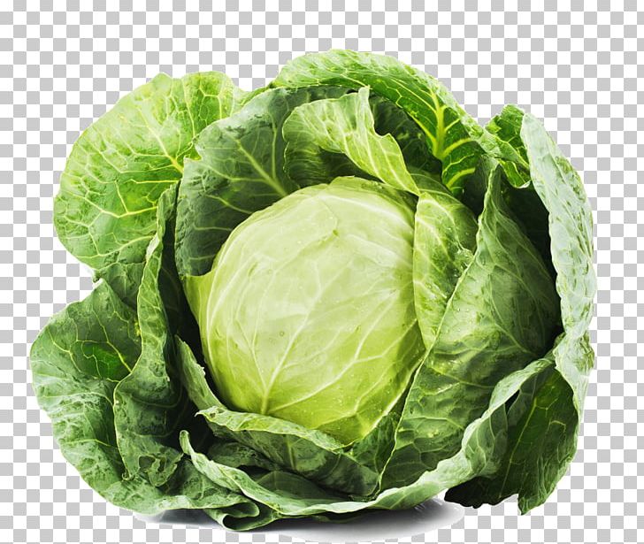 Red Cabbage Leaf Vegetable Food PNG, Clipart, Cabbage, Cauliflower, Chard, Coleslaw, Cruciferous Vegetables Free PNG Download