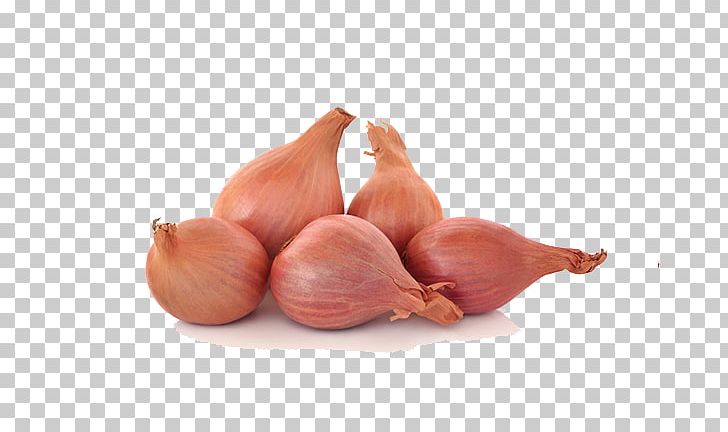 Shallot Vegetable Pearl Onion Yellow Onion PNG, Clipart,  Free PNG Download