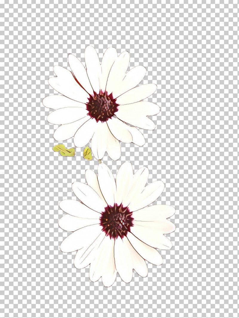 Floral Design PNG, Clipart, Daisy Family, Floral Design, Flower, Gerbera, Petal Free PNG Download