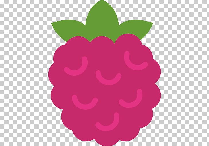 Computer Icons Raspberry Pi Food PNG, Clipart, Circle, Computer Icons, Eating, Encapsulated Postscript, Flower Free PNG Download
