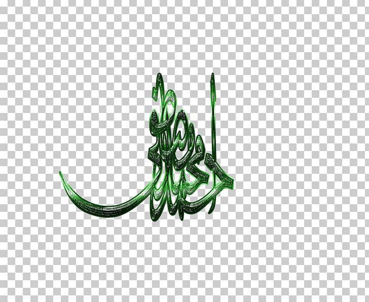 Writing Text Religion Islam PNG, Clipart, Download, Gold, Islam, Miscellaneous, Organism Free PNG Download
