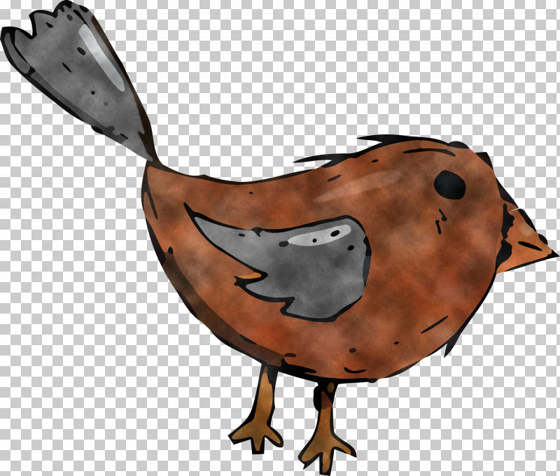 Landfowl Duck Beak Birds Rooster PNG, Clipart, Beak, Biology, Birds, Cartoon, Cartoon Bird Free PNG Download