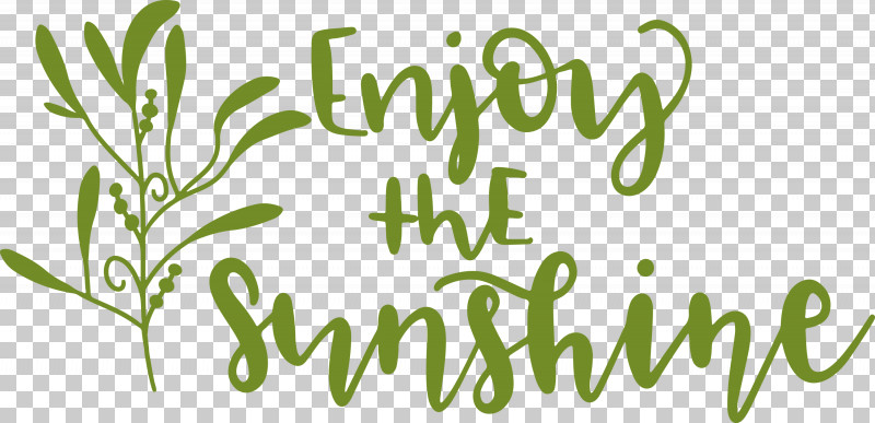 Sunshine Enjoy The Sunshine PNG, Clipart, Commodity, Grasses, Green, Herb, Leaf Free PNG Download