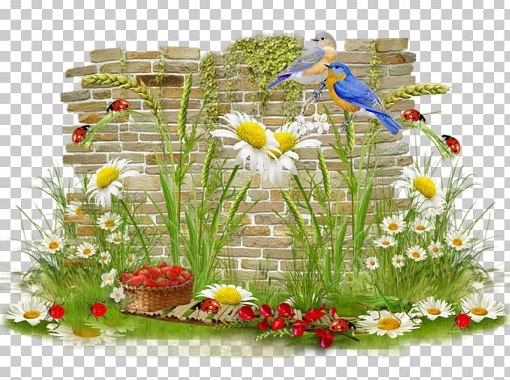 Floral Design Bird Diaporama PNG, Clipart, 1 May, Bird, Calendar, Canalblog, Cat Free PNG Download