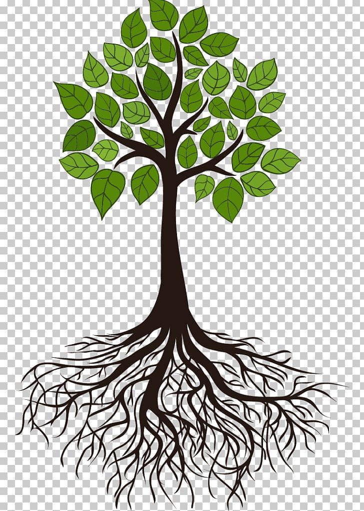 Tree Root Branch PNG, Clipart, Black And White, Branch, Clip Art, Flora, Flower Free PNG Download