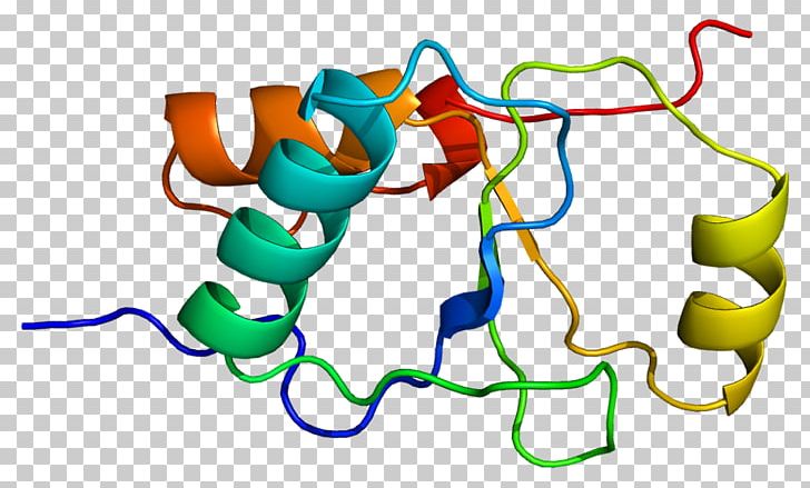 XRCC1 XRCC3 DNA Repair Protein PNG, Clipart, Area, Artwork, Cell, Cross Gene, Dna Free PNG Download