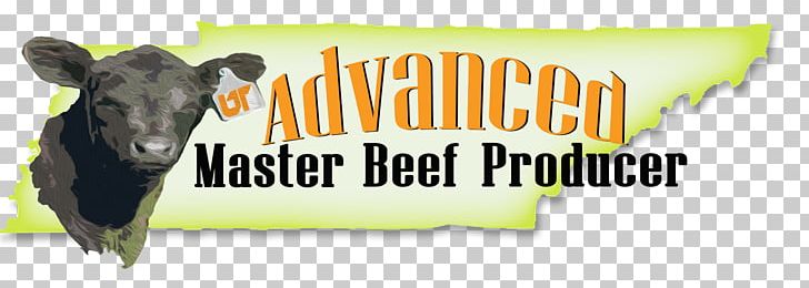 Dairy Cattle Angus Cattle Tennessee Beefmaster Calf PNG, Clipart, Advertising, Agriculture, Angus Cattle, Banner, Beef Free PNG Download